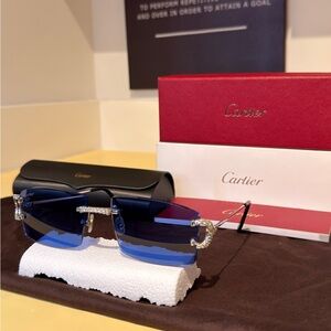Cartier C Décor Platinum Stock Hinge & Temples - Classic C Platinum 05.12.21